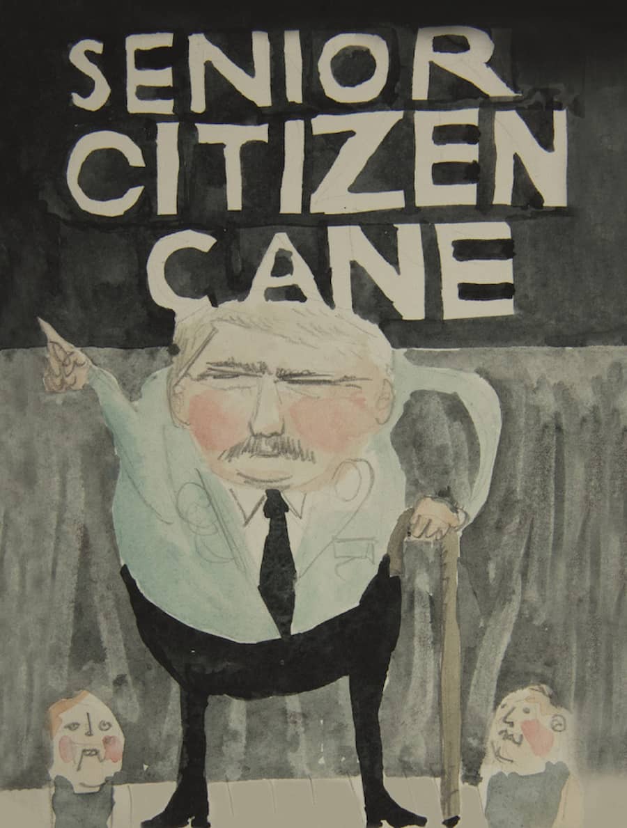 Senior Citizen Cane
